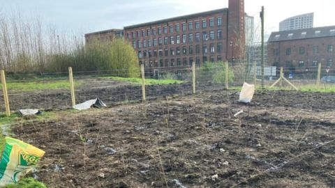 The mini forest site in Leeds