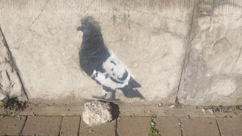 Pigeon graffiti on wall
