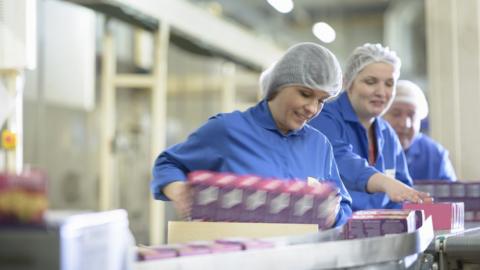 Women in biscuit factory