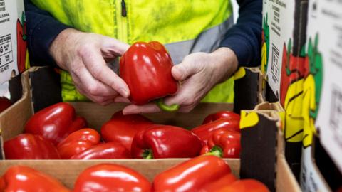 An employee checks boxes of red peppers imported from Spain.
