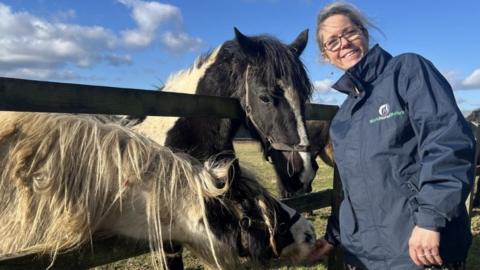 Zoe Williams with two horses, being fed by hand through gaps in fencing