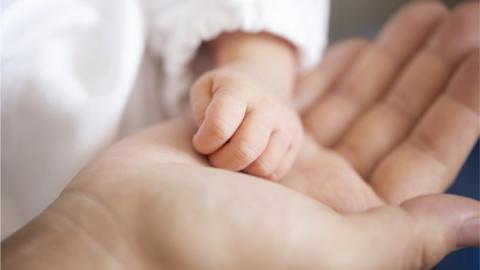 A baby and parent's hand