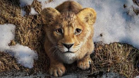 A young animated lion cub looks up, surrounded by snow on grass