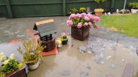 Garden covered in sewage and wipes
