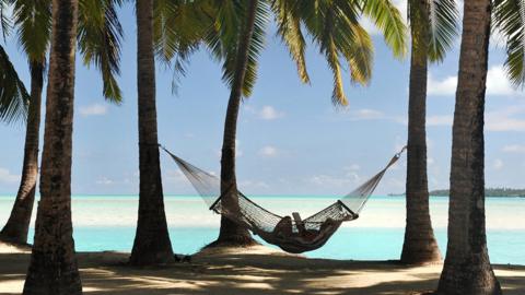 Lying in a hammock on a palmy beach