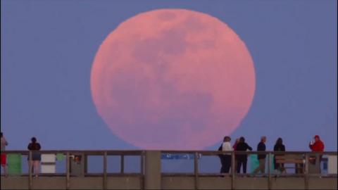 Pink Moon in Florida