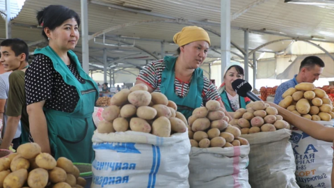 Market traders, Tashkent, Uzbekistan