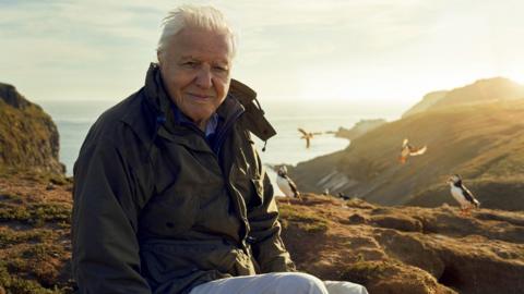 Sir David Attenborough sat on a cliff with puffins in the background