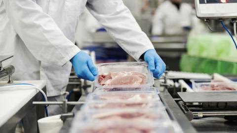 Hands of a meat factory worker gathering packed meat on a conveyor belt (stock photo)