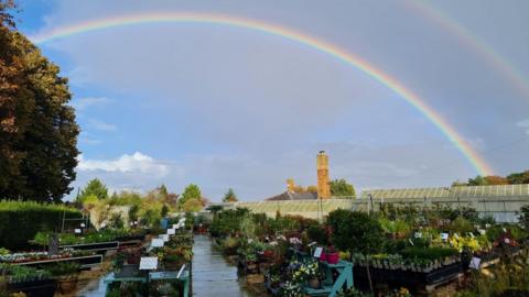 A rainbow in the sky over rows of plans in Kings Park Nursery
