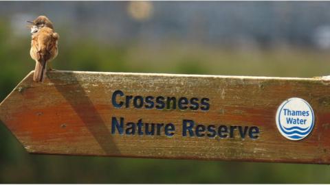 Crossness Nature Reserve