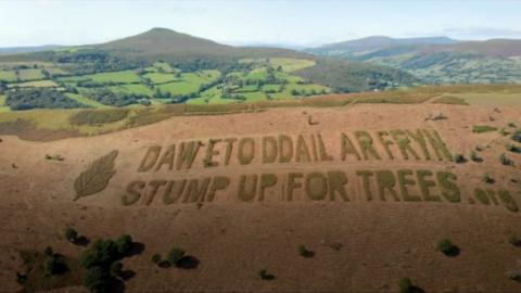 Stump up for trees slogan on hillside