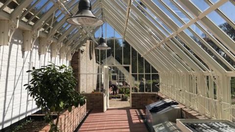 Glasshouse with plants at Florence Court