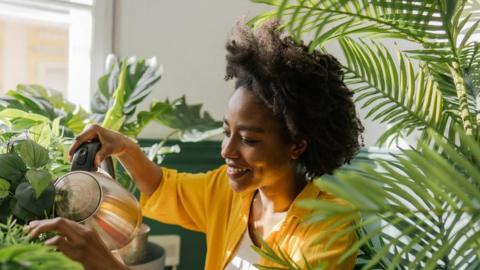 Stock shot of woman watering flowers