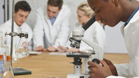 Students in a science lab, one looking into a microscope.