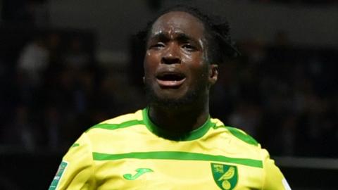 Jonathan Rowe celebrates scoring winner for Norwich