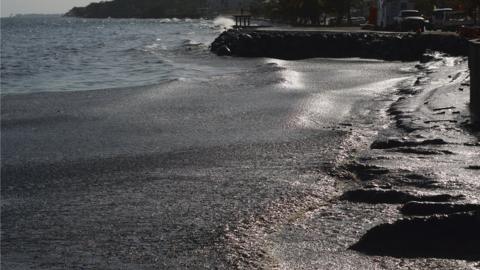Oil covers Rockly Bay on Tobago island, Trinidad and Tobago. Photo: 10 February 2024