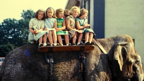 Group of girls on elephant at Belle Vue