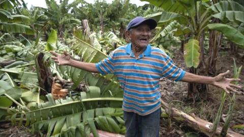 Serapio Matamoros shows banana tree damaged by Storm Bonnie, in Rivas, Nicaragua, 02 July 2022