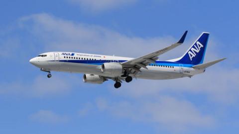 Japan ANA airlines