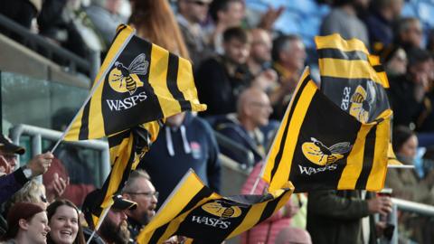 Wasps flags