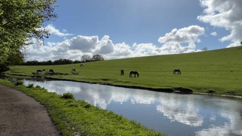 Mainly blue sky above a field with horses grazing next to a river.