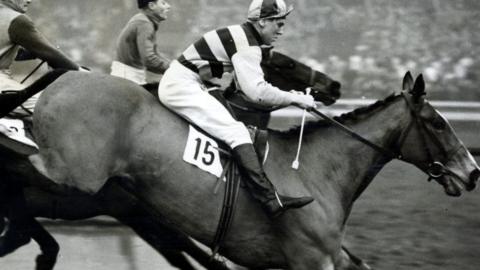 Jockey Tom Brookshaw