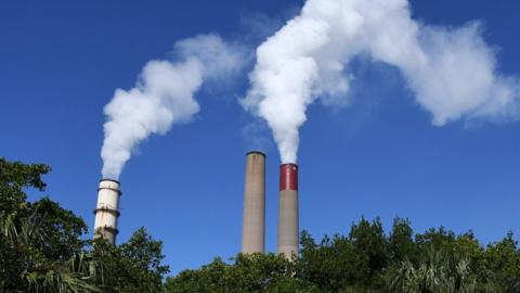 Billowing smokestacks are seen at Tampa Electric Big Bend power station, Florida