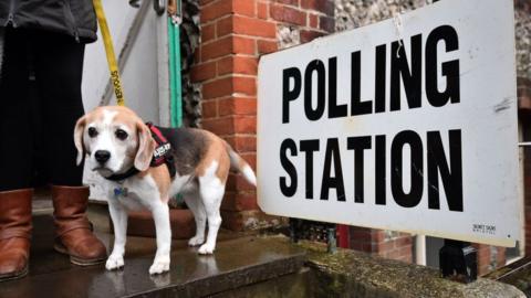 Dog by polling station sign