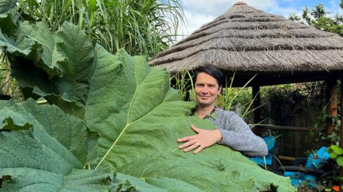 Kris Swaine has spent years turning his Wakefield garden into a tropical paradise