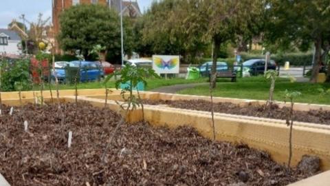 Raised bed at Park Community Garden in Weymouth