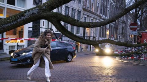 A woman walks under a fallen tree in Amsterdam