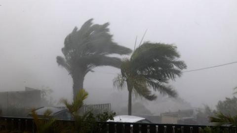 A photo shows trees subjected to very strong winds during cyclone Belal, in La Possession, on the French overseas island of La Reunion, on January 15, 2024