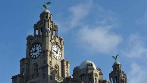 Liver building