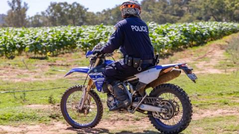 Policeman on dirt bike looking at illegal tobacco crop