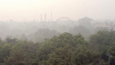 fog from pollution over trees in Delhi skyline