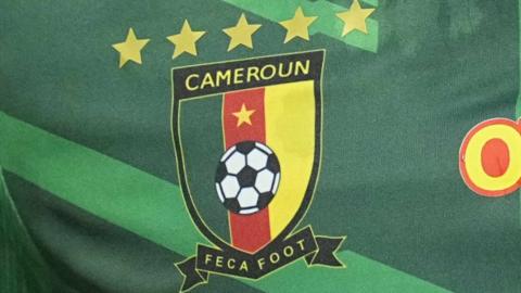 A badge on a Cameroon kit