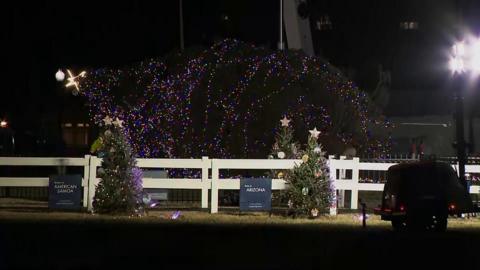 Christmas tree flopped outside the White House