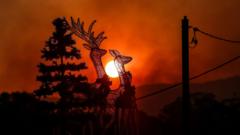Декабрьские лесные пожары испортили Рождество австралийцам. С каждым годом сезон пожаров начинается все раньше и оказывается все разрушительнее