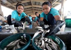ထိုင်းရောက်မြန်မာလုပ်သားတွေ နေထိုင်ခွင့် ပိုတိုးရလာ