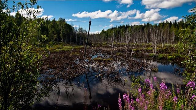 Фото Ивана Афанасьева