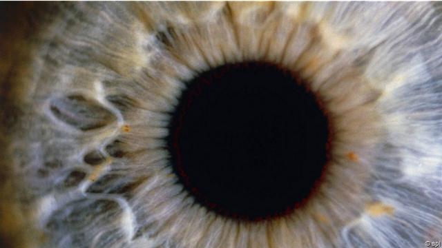 После операции на глазе некоторые люди приобретают способность видеть ультрафиолетовое излучение 