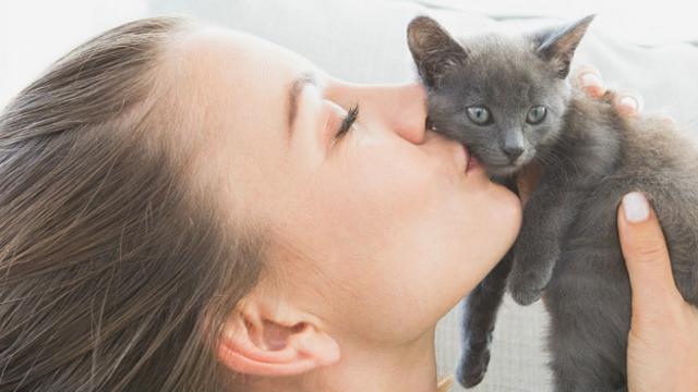 Девушка целует котенка