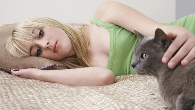 Телесный контакт с людьми дает кошкам ощущение комфорта