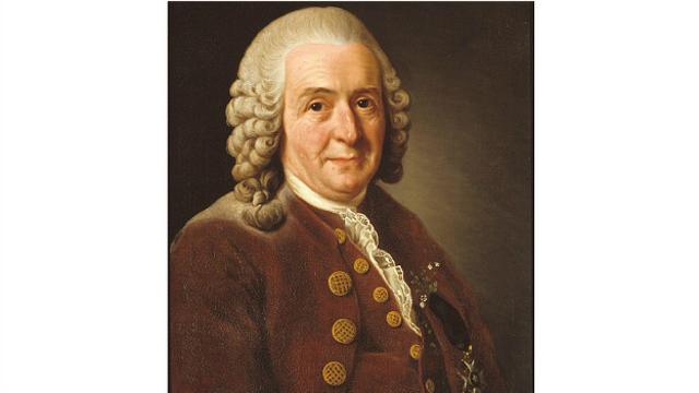 Карл Линней, портрет работы Александра Рослина, 1775 год