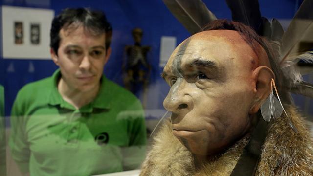 Неандертальцы были нашими близкими родственниками