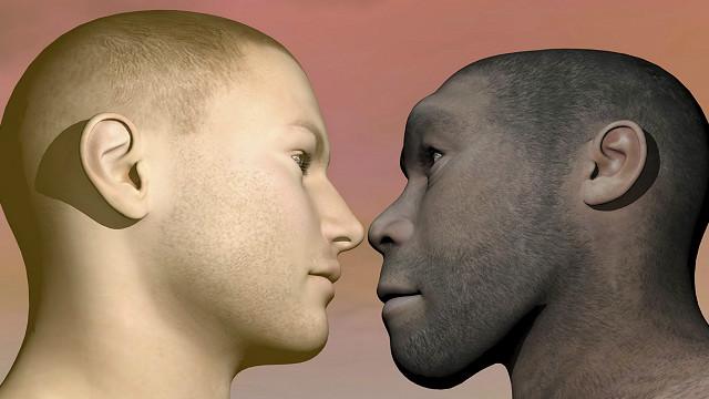 Современный человек и человек прямоходящий (Homo erectus)   