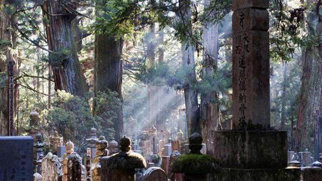 Кладбище Окуноин расположено в глуши древнего леса