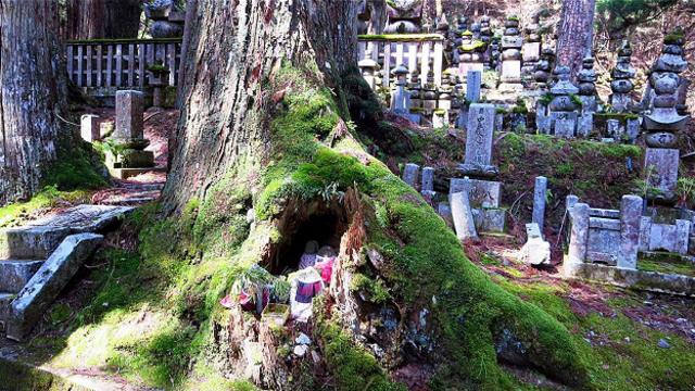 Окуноин - самое большое в Японии кладбище протяженностью два километра