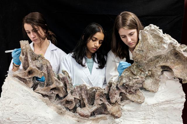 Three people working on a fossil